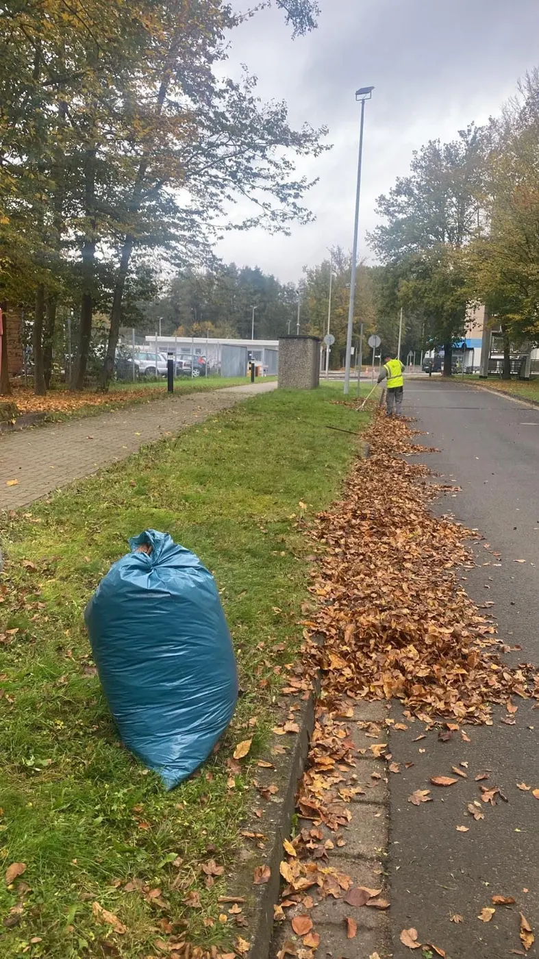 Herbst- & Winterdienst